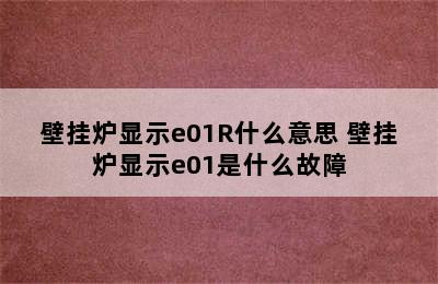 壁挂炉显示e01R什么意思 壁挂炉显示e01是什么故障